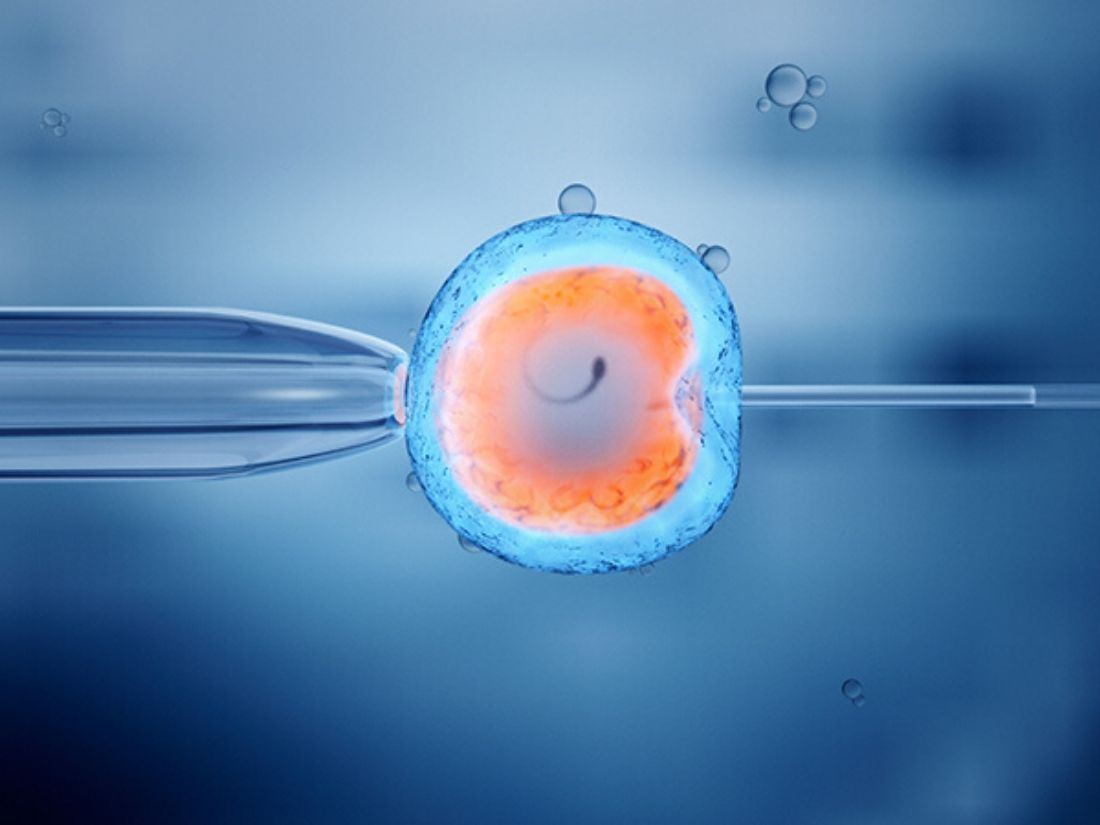 Everything You Need to Know About IVF Treatment