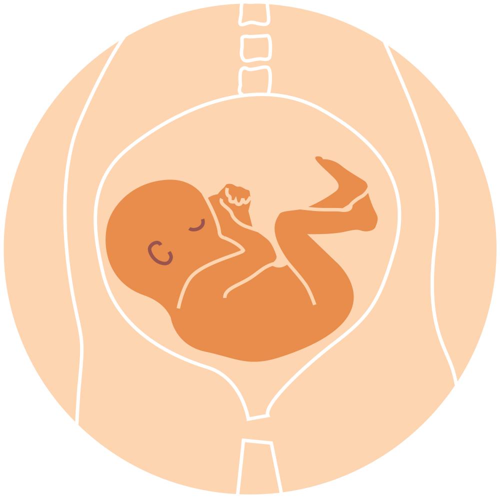 寶寶在子宮裡的位置 - Joy of Life 代孕