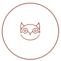 Owl icon