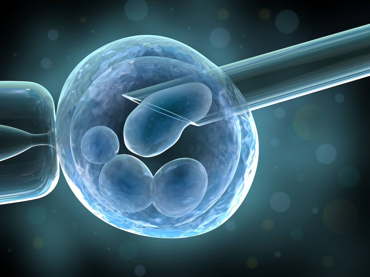 An illustration of a microscopic view of in vitro fertilization, showing a needle injecting material into a cell.
