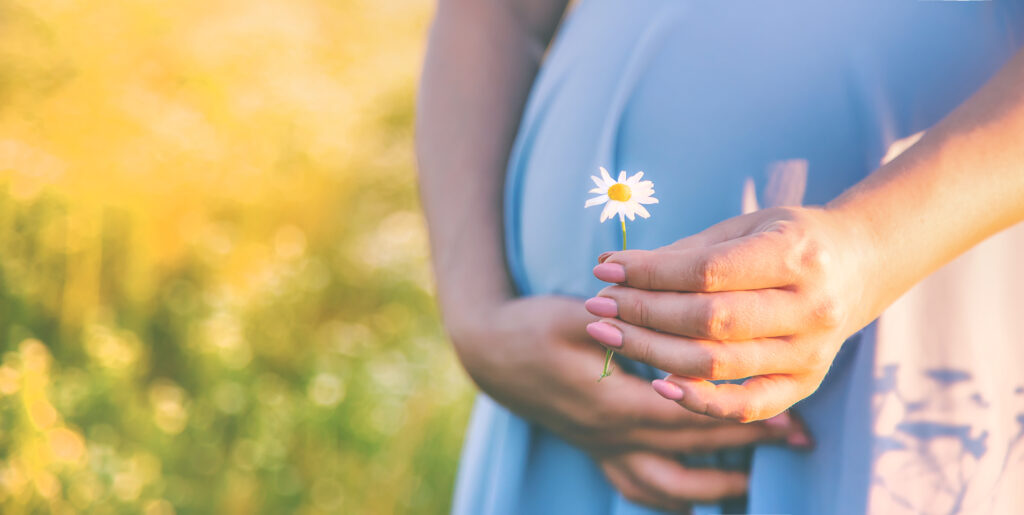 Close-up of a pregnant woman in a light blue dress holding a small daisy flower in her hand, standing in a sunlit field with a soft, blurred background.