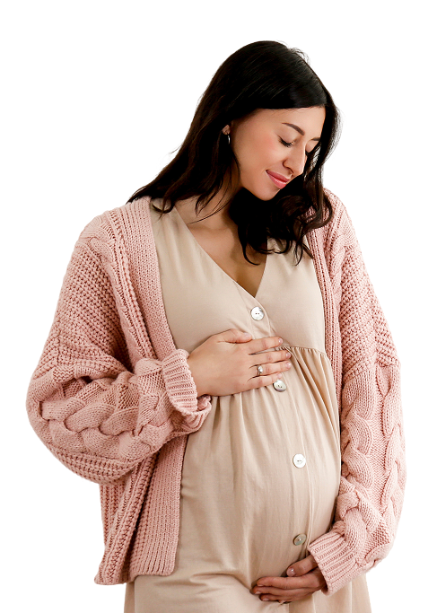 Surrogate mothers wo background 2